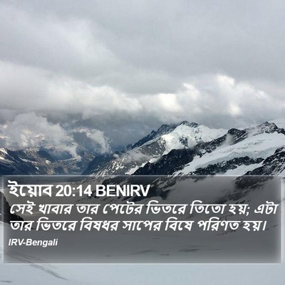 ইয়োব 20:14 BENIRV Bible Verse Image