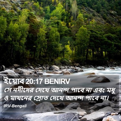 ইয়োব 20:17 BENIRV Bible Verse Image