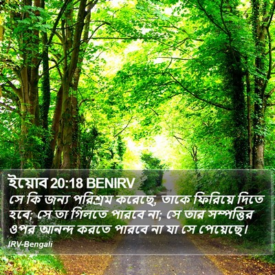 ইয়োব 20:18 BENIRV Bible Verse Image