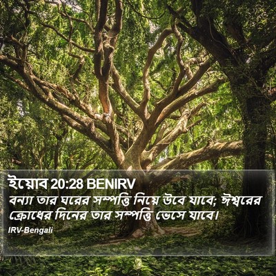 ইয়োব 20:28 BENIRV Bible Verse Image