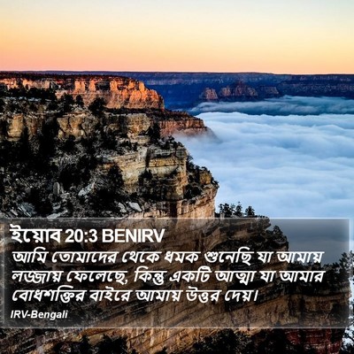 ইয়োব 20:3 BENIRV Bible Verse Image