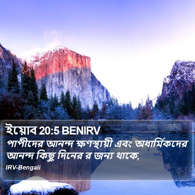 ইয়োব 20:5 BENIRV Bible Verse Image