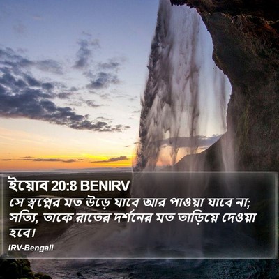 ইয়োব 20:8 BENIRV Bible Verse Image