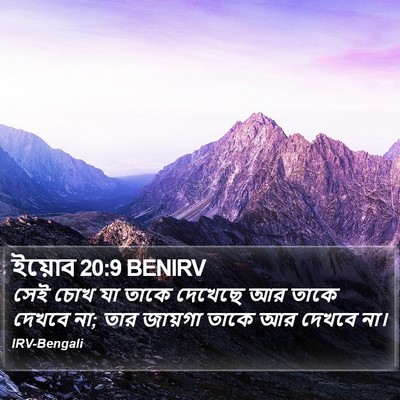ইয়োব 20:9 BENIRV Bible Verse Image