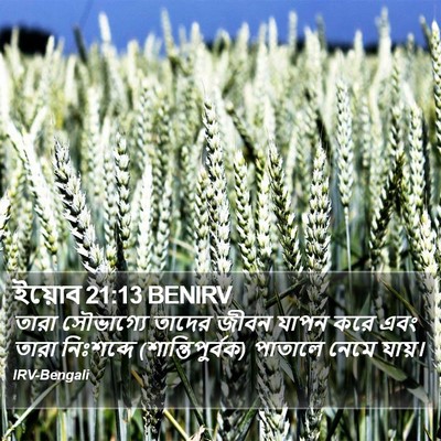 ইয়োব 21:13 BENIRV Bible Verse Image