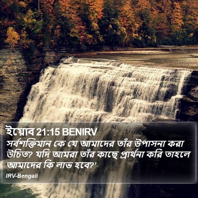ইয়োব 21:15 BENIRV Bible Verse Image