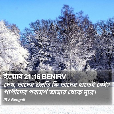 ইয়োব 21:16 BENIRV Bible Verse Image