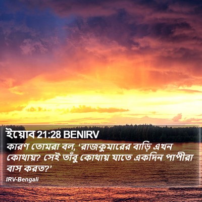 ইয়োব 21:28 BENIRV Bible Verse Image