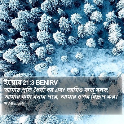 ইয়োব 21:3 BENIRV Bible Verse Image