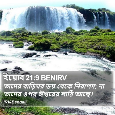 ইয়োব 21:9 BENIRV Bible Verse Image
