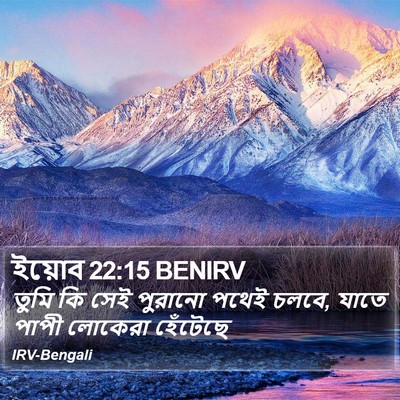 ইয়োব 22:15 BENIRV Bible Verse Image