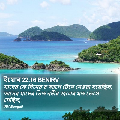 ইয়োব 22:16 BENIRV Bible Verse Image