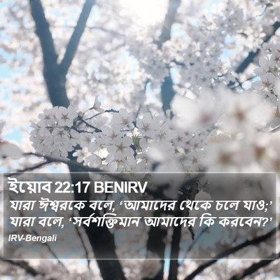 ইয়োব 22:17 BENIRV Bible Verse Image