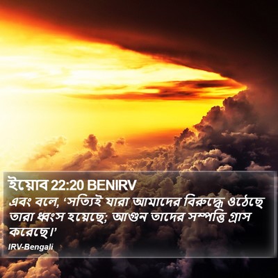 ইয়োব 22:20 BENIRV Bible Verse Image