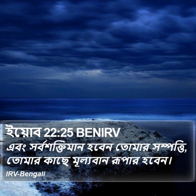 ইয়োব 22:25 BENIRV Bible Verse Image