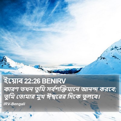 ইয়োব 22:26 BENIRV Bible Verse Image