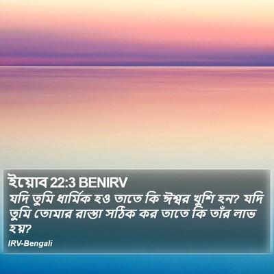 ইয়োব 22:3 BENIRV Bible Verse Image