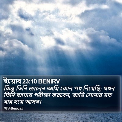 ইয়োব 23:10 BENIRV Bible Verse Image