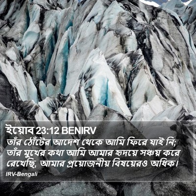 ইয়োব 23:12 BENIRV Bible Verse Image
