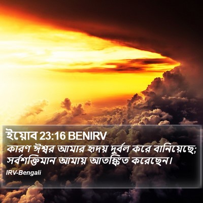 ইয়োব 23:16 BENIRV Bible Verse Image