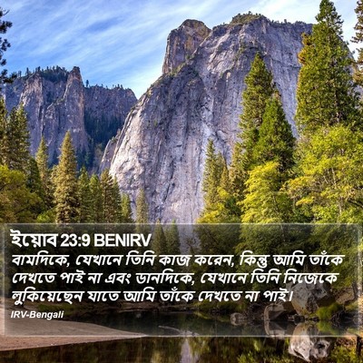 ইয়োব 23:9 BENIRV Bible Verse Image