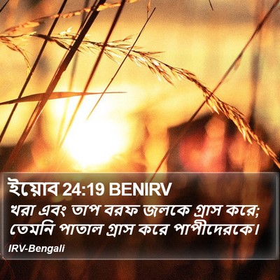 ইয়োব 24:19 BENIRV Bible Verse Image