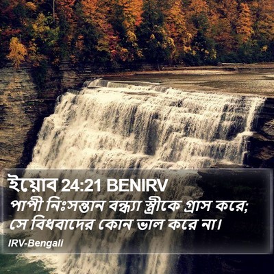 ইয়োব 24:21 BENIRV Bible Verse Image