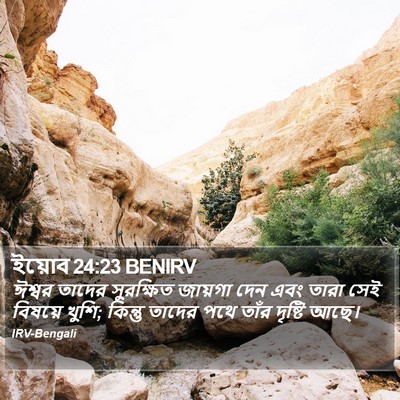 ইয়োব 24:23 BENIRV Bible Verse Image