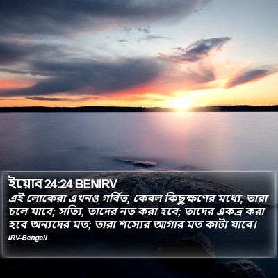 ইয়োব 24:24 BENIRV Bible Verse Image
