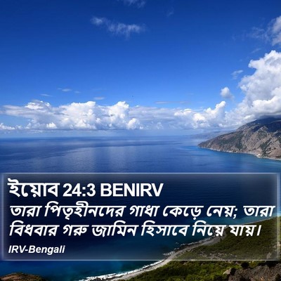 ইয়োব 24:3 BENIRV Bible Verse Image