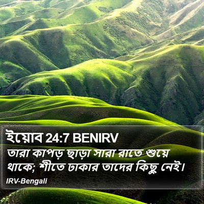 ইয়োব 24:7 BENIRV Bible Verse Image