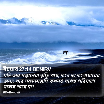ইয়োব 27:14 BENIRV Bible Verse Image