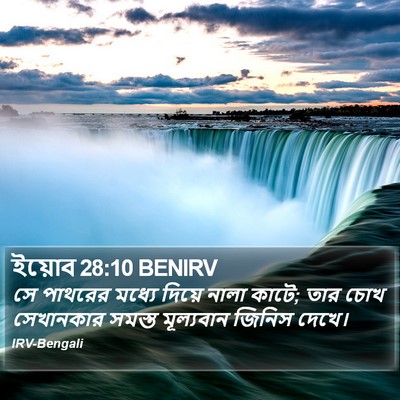 ইয়োব 28:10 BENIRV Bible Verse Image