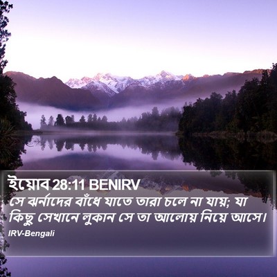 ইয়োব 28:11 BENIRV Bible Verse Image