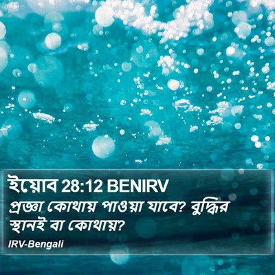 ইয়োব 28:12 BENIRV Bible Verse Image