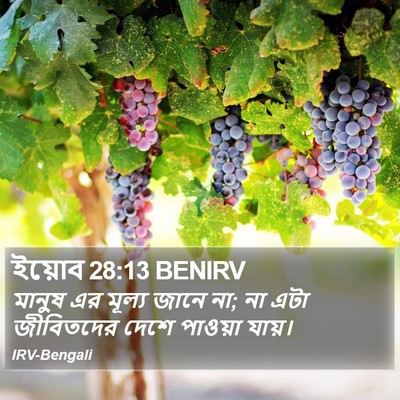 ইয়োব 28:13 BENIRV Bible Verse Image