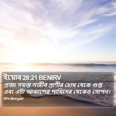 ইয়োব 28:21 BENIRV Bible Verse Image