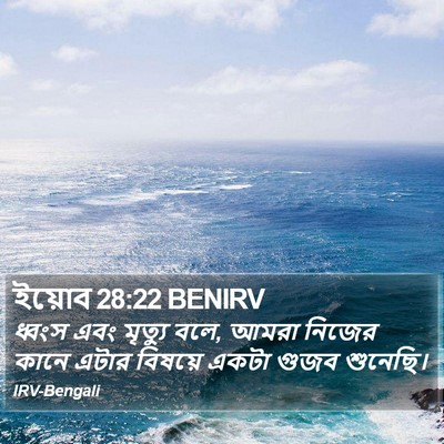 ইয়োব 28:22 BENIRV Bible Verse Image