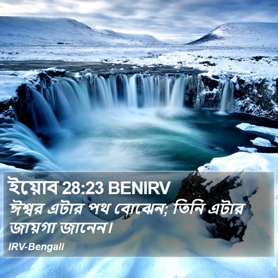 ইয়োব 28:23 BENIRV Bible Verse Image