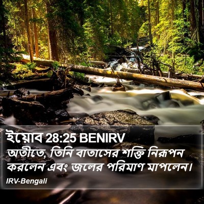 ইয়োব 28:25 BENIRV Bible Verse Image