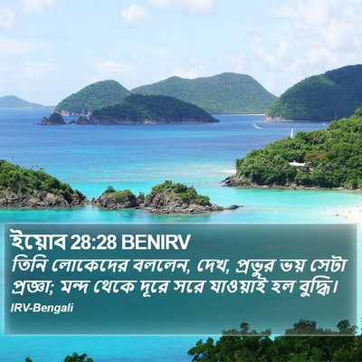 ইয়োব 28:28 BENIRV Bible Verse Image