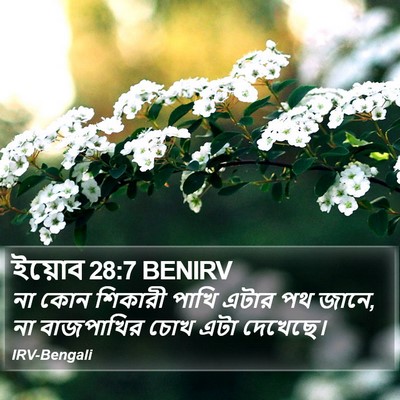 ইয়োব 28:7 BENIRV Bible Verse Image
