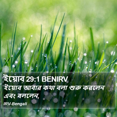 ইয়োব 29:1 BENIRV Bible Verse Image