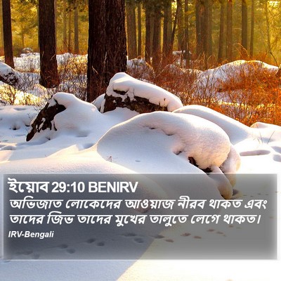 ইয়োব 29:10 BENIRV Bible Verse Image