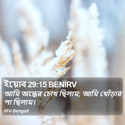 ইয়োব 29:15 BENIRV Bible Verse Image