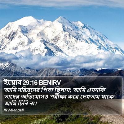 ইয়োব 29:16 BENIRV Bible Verse Image