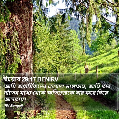 ইয়োব 29:17 BENIRV Bible Verse Image