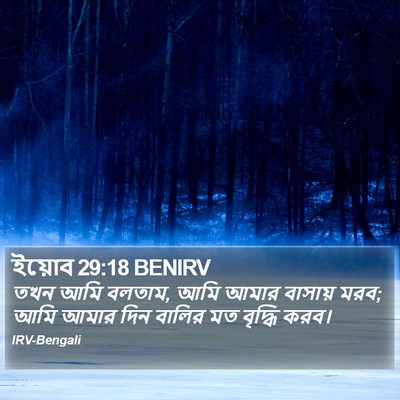 ইয়োব 29:18 BENIRV Bible Verse Image