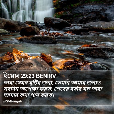 ইয়োব 29:23 BENIRV Bible Verse Image