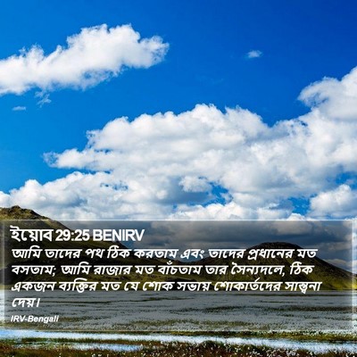 ইয়োব 29:25 BENIRV Bible Verse Image